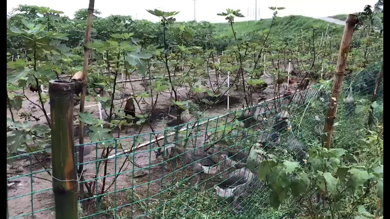 门窗品牌哪家好